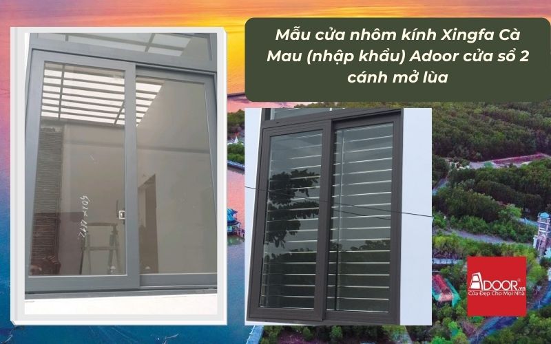 Mẫu cửa nhôm kính Xingfa Cà Mau (nhập khẩu) Adoor cửa sổ 2 cánh mở lùa