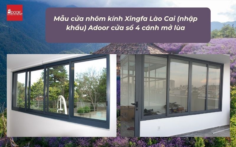 Mẫu cửa nhôm kính Xingfa Lào Cai (nhập khẩu) Adoor cửa sổ 4 cánh mở lùa