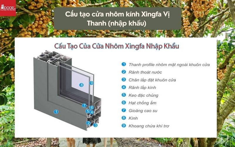 Cấu tạo cửa nhôm kính Xingfa Vị Thanh (nhập khẩu) 