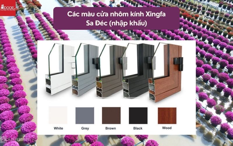 Các màu cửa nhôm kính Xingfa Sa Đéc (nhập khẩu)