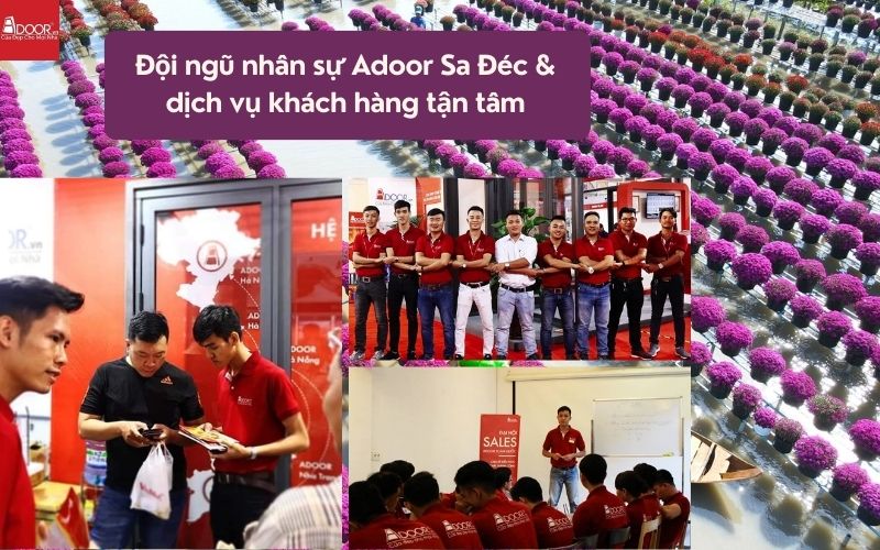 Đội ngũ nhân sự tâm huyết – Linh hồn của bộ cửa nhôm kính Xingfa Sa Đéc (nhập khẩu)
