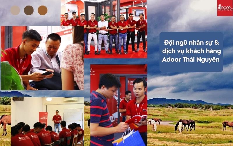 Tư vấn viên am hiểu kỹ thuật và đặc thù kiến trúc Thái Nguyên