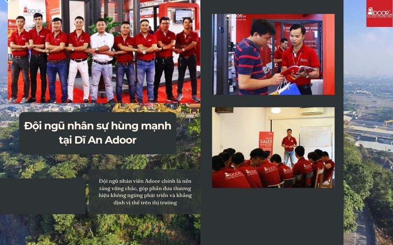Đội ngũ nhân sự tận tâm và năng lực thi công cửa nhôm kính Xingfa Dĩ An (nhập khẩu)