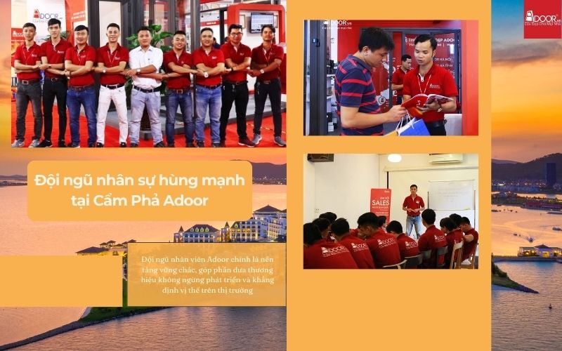 Đội ngũ nhân sự tâm huyết – Điểm tựa chất lượng cho cửa nhôm kính Xingfa Cẩm Phả (nhập khẩu)