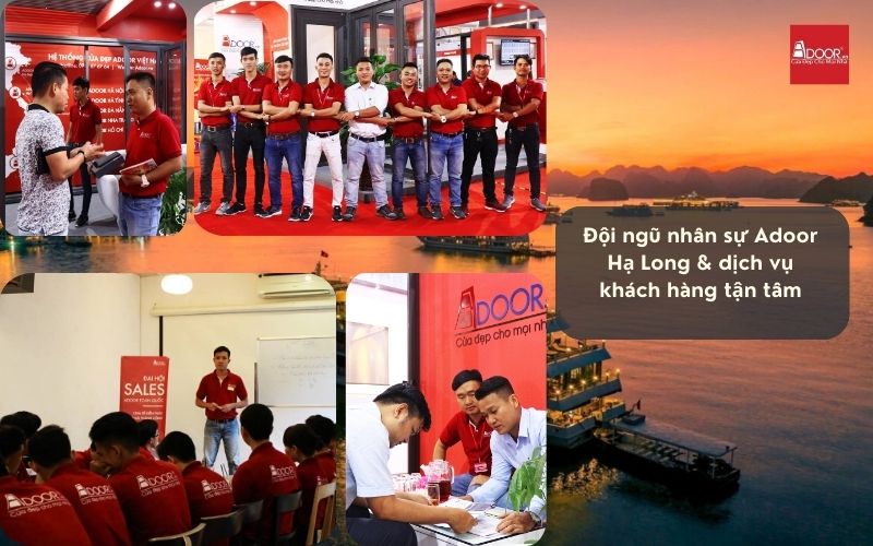 Sức mạnh từ đội ngũ nhân sự và văn hóa phục vụ cửa nhôm kính Xingfa Hạ Long (nhập khẩu)