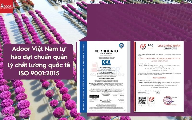 Hệ thống chứng nhận quốc tế – Đảm bảo độ bền thách thức thời gian