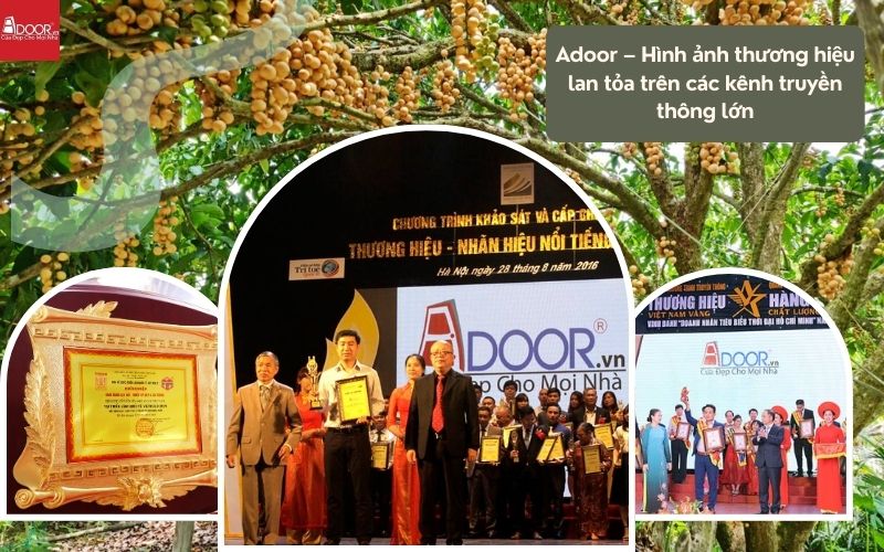 Tự hào nhận được nhiều giải thưởng thương hiệu danh giá, Adoor khẳng định đẳng cấp chuyên gia qua dòng cửa nhôm kính Xingfa Vị Thanh (nhập khẩu) chính hãng.