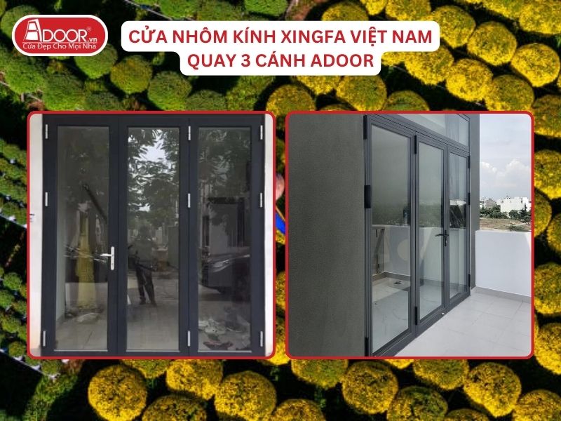 Cửa Mở Quay 3 Cánh Nhôm Kính Xingfa Tại Bến Tre Hệ Việt Nam Adoor