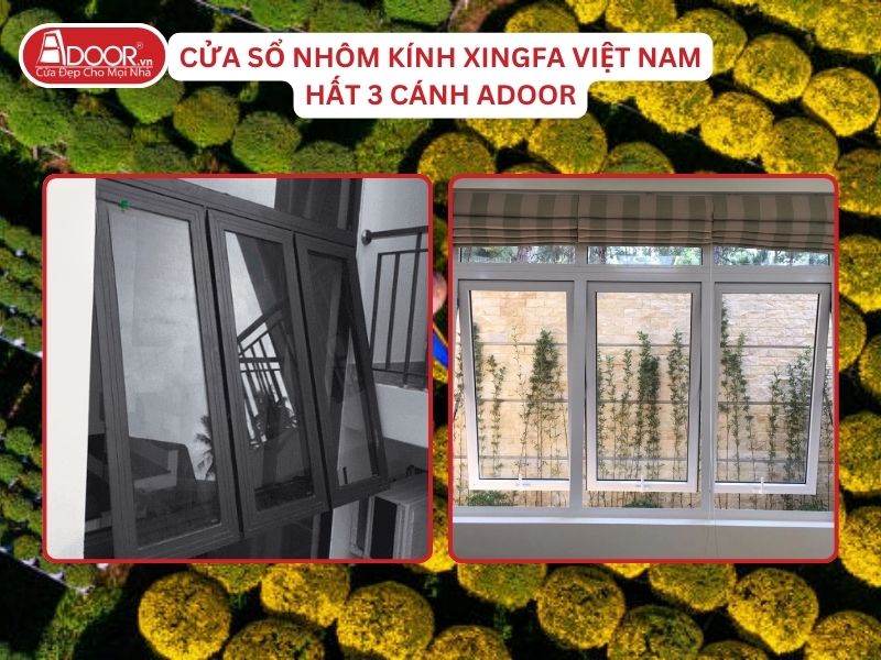 Cửa Sổ Mở Hất 3 Cánh Nhôm Kính Xingfa Tại Bến Tre Hệ Việt Nam Adoor