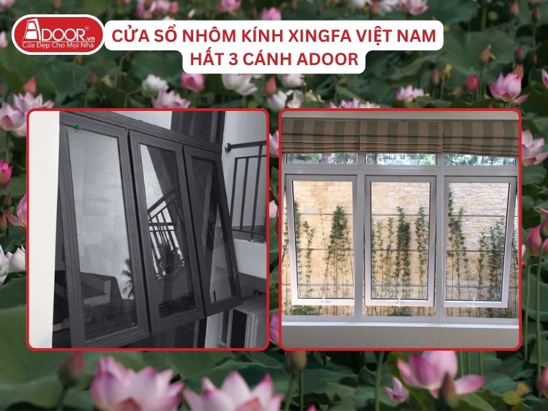 Cửa Sổ Mở Hất 3 Cánh Nhôm Kính Xingfa Tại Thái Bình Hệ Việt Nam Adoor