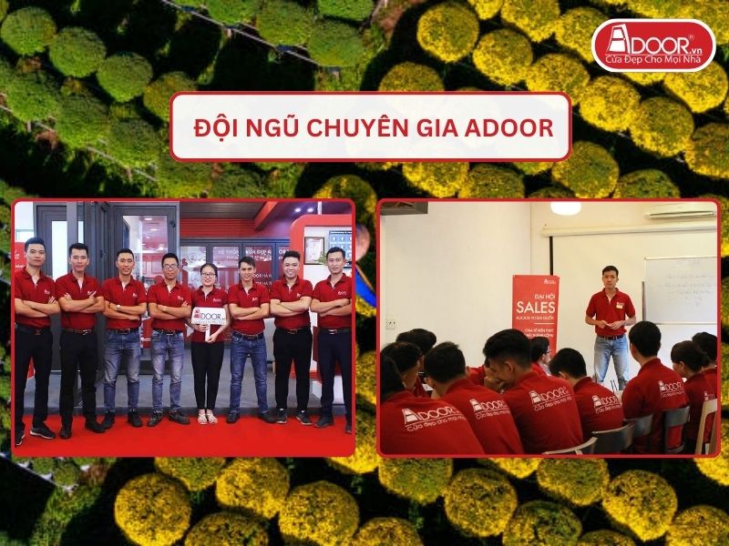 Đội ngũ Adoor chuyên nghiệp phục vụ khách hàng tại Bến Tre