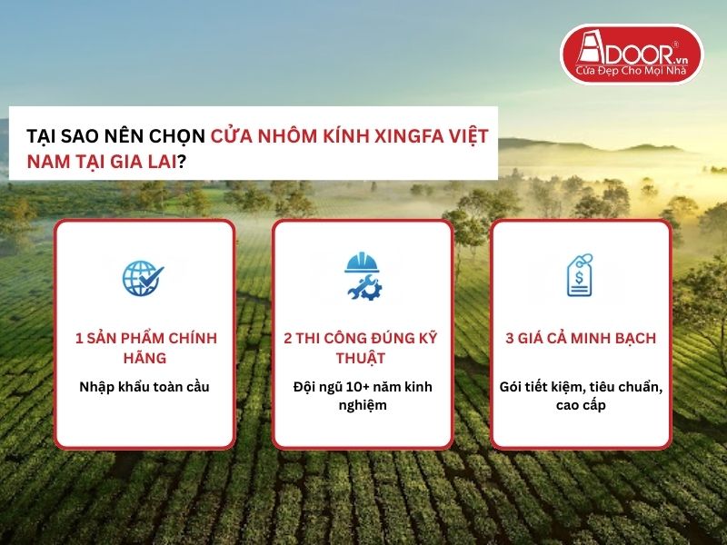Lợi thế vượt trội của Adoor mang lại cho khách hàng Gia Lai