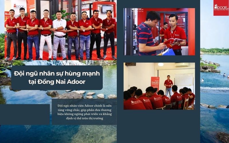 Đội Ngũ Adoor – Tận Tâm Đúng Chất Người Đồng Nai, Đồng Hành Mọi Công Trình Cửa Nhôm Kính Slim Đồng Nai Đội Ngũ Adoor – Tận Tâm Đúng Chất Người Đồng Nai, Đồng Hành Mọi Công Trình Cửa Nhôm Kính Slim Đồng Nai