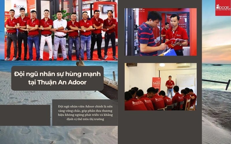 Đội ngũ nhân sự Adoor trong lĩnh vực cửa nhôm kính Slim Thuận An