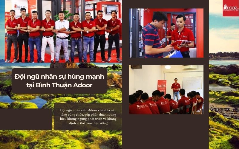 Những Con Người Đứng Sau Mỗi Bộ Cửa Nhôm Kính Trượt Quay Bình Thuận – Tập Thể Adoor Làm Việc Bằng Cả Tâm Huyết