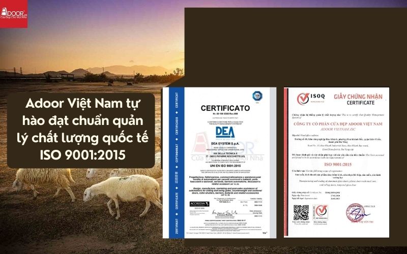 Chứng nhận kiểm định quốc tế bảo chứng cho độ bền và công năng