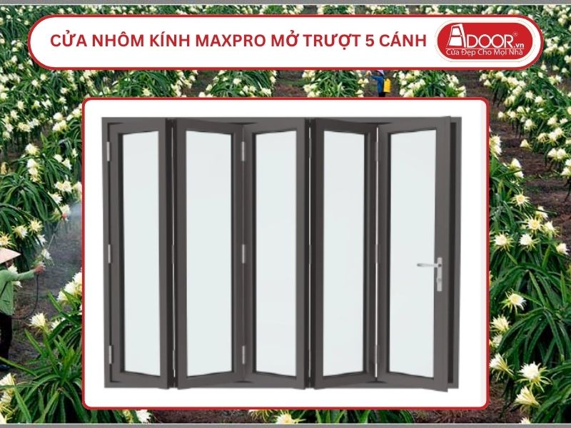 Cửa Nhôm Kính MaxPro Mở Xếp Trượt 5 Cánh Adoor Tại Long An Cửa Nhôm Kính MaxPro Mở Xếp Trượt 5 Cánh Adoor Tại Long An