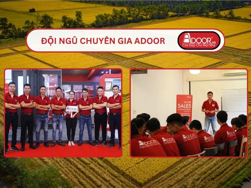 Đội ngũ Adoor chuyên nghiệp phục vụ khách hàng tại Cao Lãnh