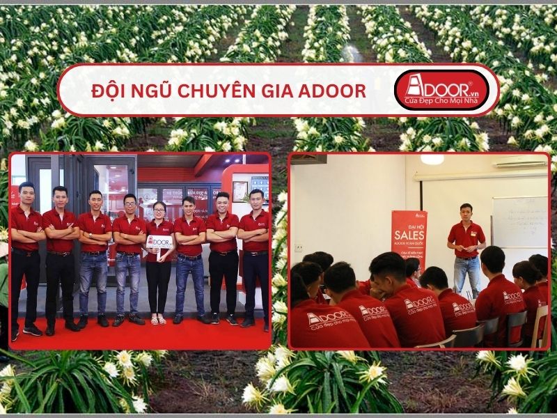 Đội ngũ Adoor chuyên nghiệp phục vụ khách hàng tại Long An