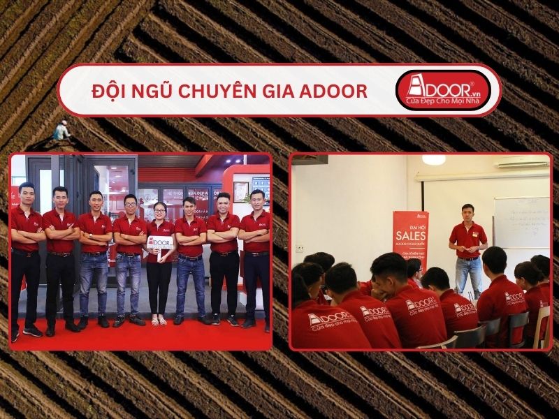 Đội ngũ Adoor chuyên nghiệp phục vụ khách hàng tại Trà Vinh