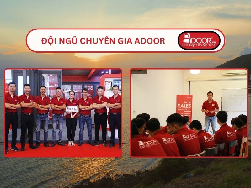 Đội ngũ Adoor chuyên nghiệp phục vụ khách hàng tại Vũng Tàu