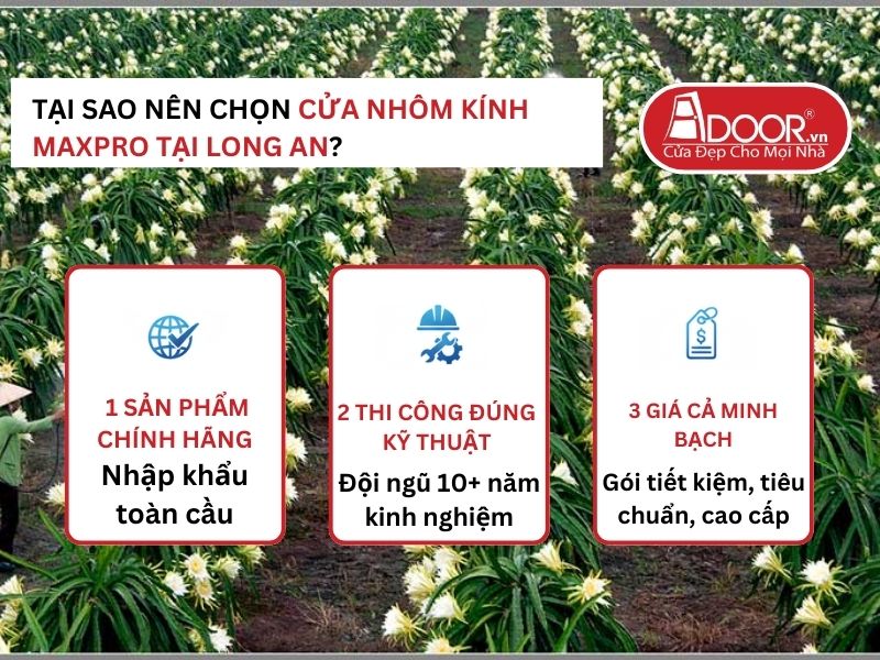 Lợi thế vượt trội của Adoor mang lại cho khách hàng Long An