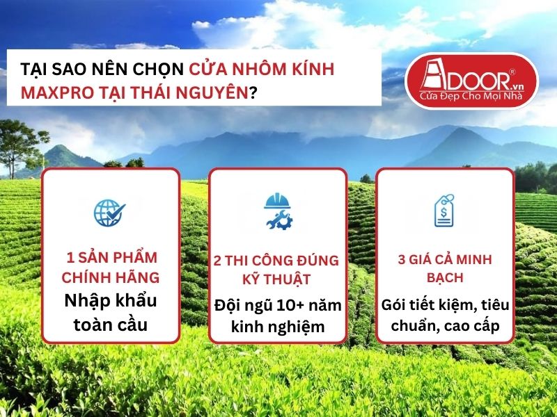 Lợi thế vượt trội của Adoor mang lại cho khách hàng Thái Nguyên