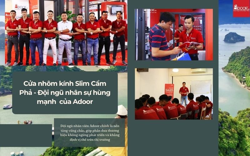 Cửa nhôm kính Slim Cẩm Phả - Đội ngũ nhân sự hùng mạnh của Adoor Cửa nhôm kính Slim Cẩm Phả - Đội ngũ nhân sự hùng mạnh của Adoor