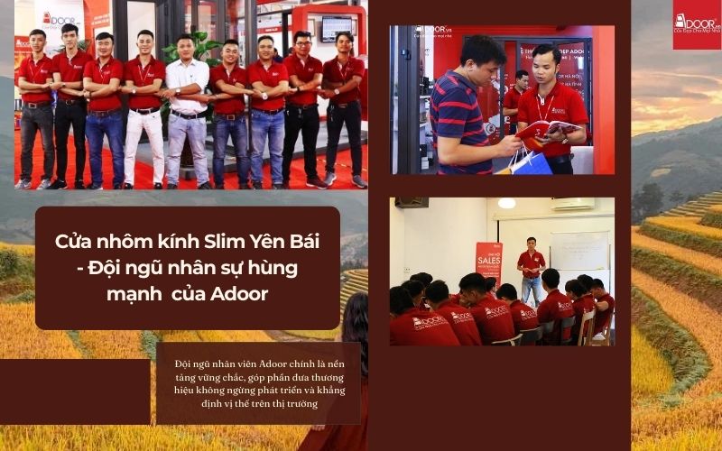 Cửa nhôm kính Slim Yên Bái - Đội ngũ nhân sự hùng mạnh của Adoor