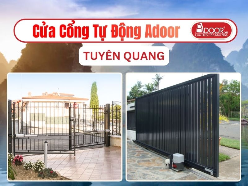 Cửa Kính Tự Động Adoor Tại Tuyên Quang