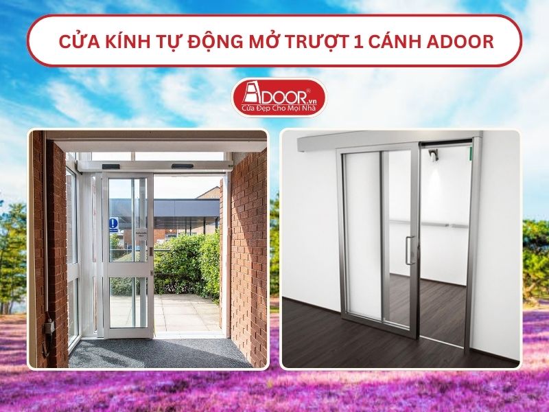 Cửa kính tự động mở trượt 1 cánh tại Đà Lạt