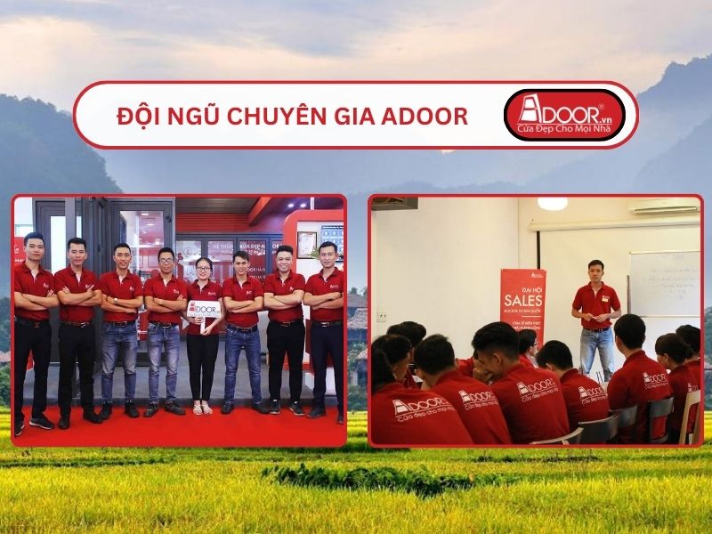 Đội ngũ Adoor chuyên nghiệp phục vụ khách hàng tại Hòa Bình