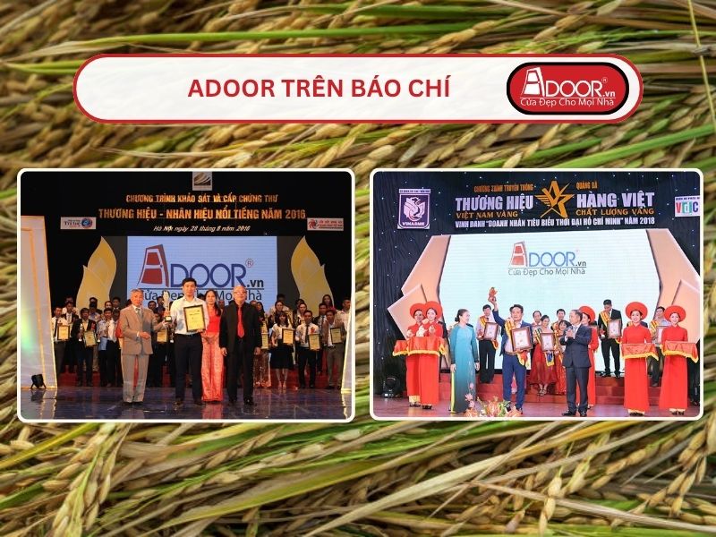 Chất lượng cửa kính tự động báo chí nói gì về Adoor tại Long Xuyên