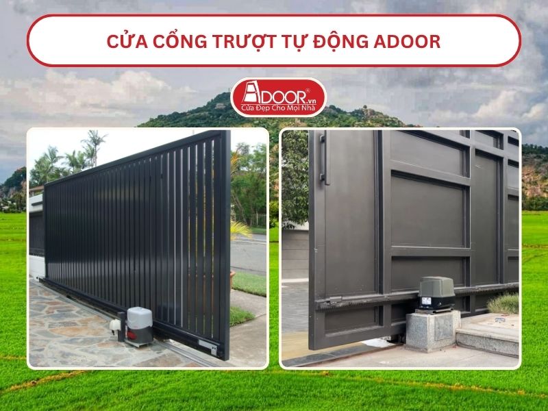 Đội ngũ Adoor chuyên nghiệp phục vụ khách hàng tại Phan Thiết