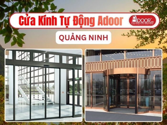 Cửa Kính Tự Động Adoor Tại Quảng Ninh