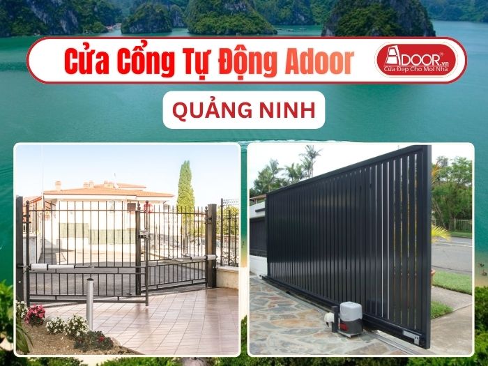 Cửa Kính Tự Động Adoor Tại Quảng Ninh