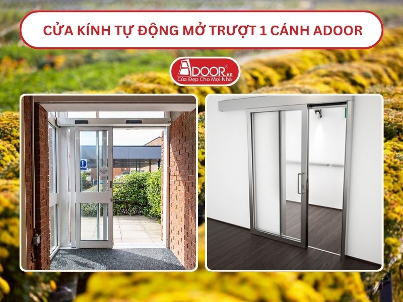 Cửa kính tự động mở trượt 1 cánh tại Sóc Trăng