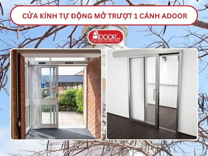 Cửa kính tự động mở trượt 1 cánh tại Vũng Tàu
