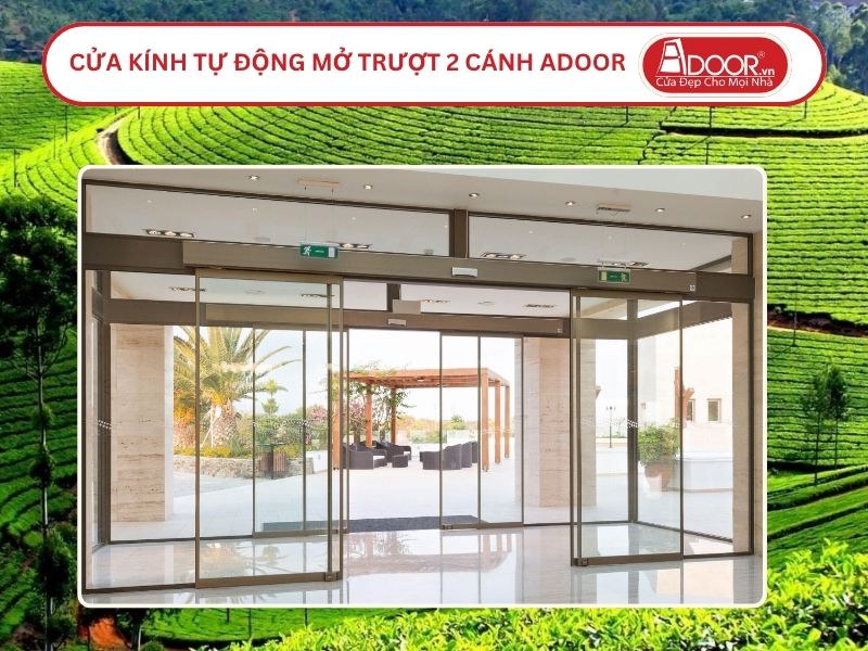 Cửa kính tự động mở trượt 2 cánh tại Vinh