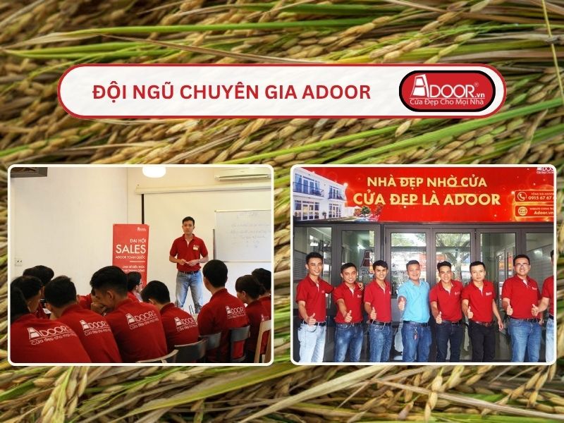 Đội ngũ Adoor chuyên nghiệp phục vụ khách hàng Cửa kính tự động tại Long Xuyên