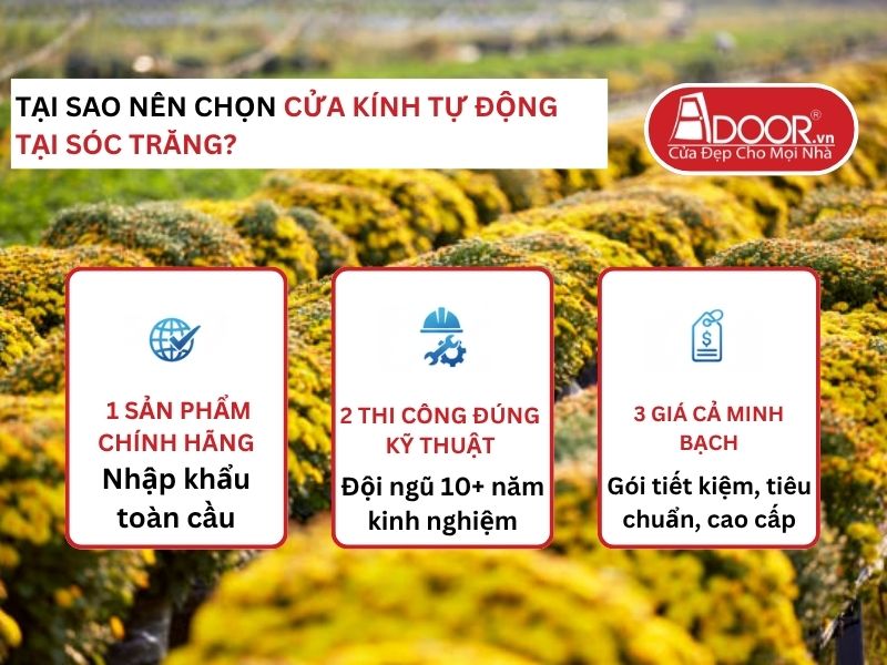 Lợi thế vượt trội của Adoor mang lại cho khách hàng Cửa Kính Tự Động Adoor tại Sóc Trăng