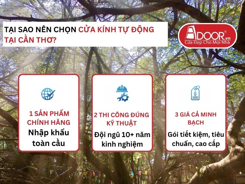 Lợi thế vượt trội của Adoor mang lại cho khách hàng Cửa Kính Tự Động Adoor tại Thành Phố Cần Thơ
