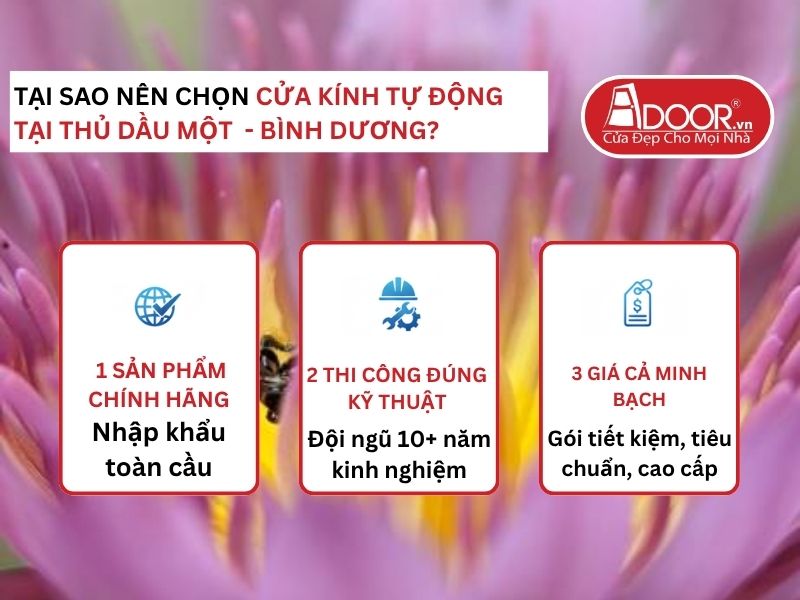 Lợi thế vượt trội của Adoor mang lại cho khách hàng Cửa Kính Tự Động Adoor tại Thủ Dầu Một