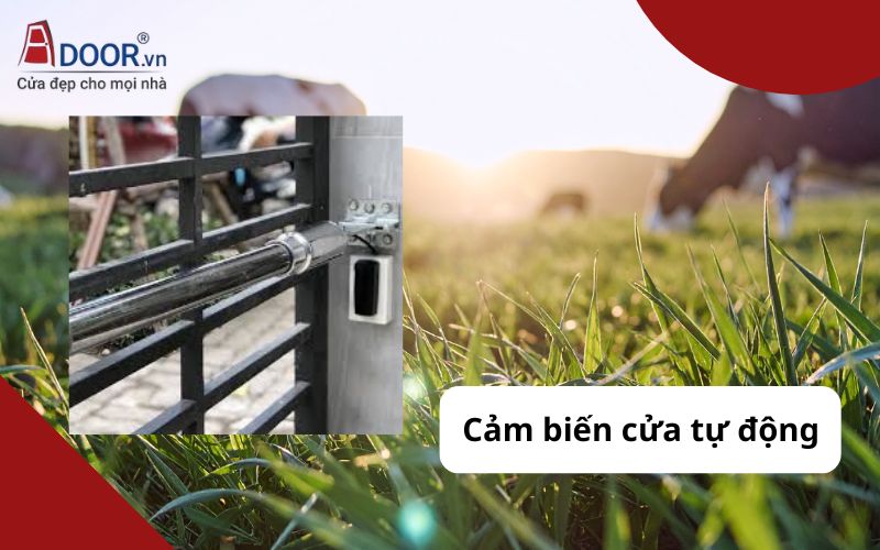 cửa cổng tự động Long Thành cửa cổng tự động Long Thành