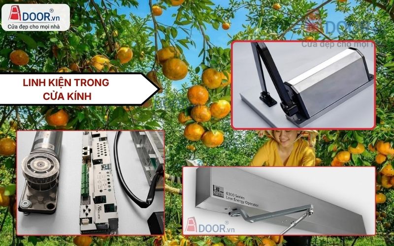 Cấu Tạo Bên Trong Cửa Kính Tự Động Lai Vung Cấu Tạo Bên Trong Cửa Kính Tự Động Lai Vung