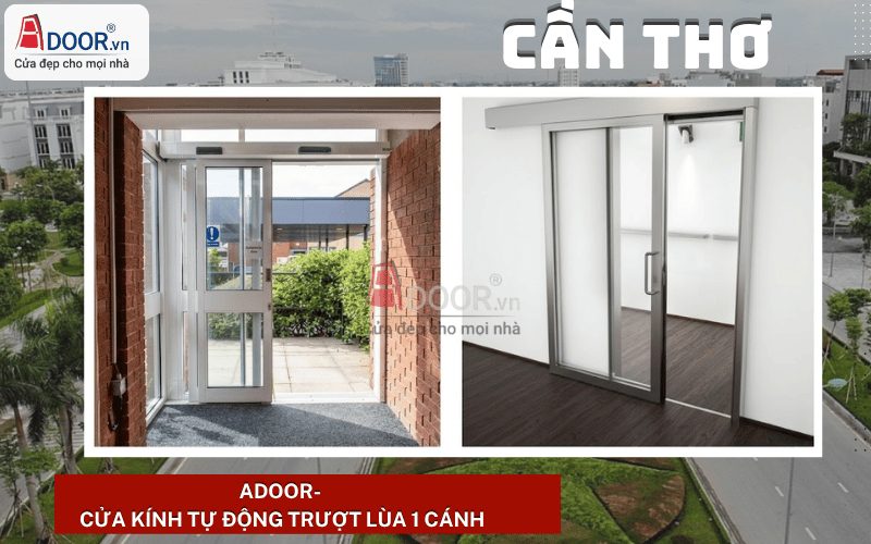 Cửa kính tự động Cần Thơ - tự động trượt lùa 1 cánh Cửa kính tự động Cần Thơ - tự động trượt lùa 1 cánh