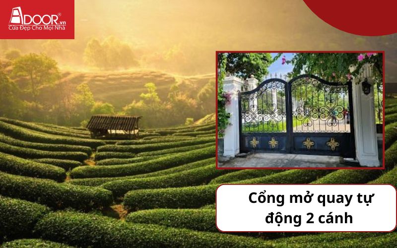 Cổng mở quay 2 cánh - Cửa cổng tự động Thái Nguyên Cổng mở quay 2 cánh - Cửa cổng tự động Thái Nguyên