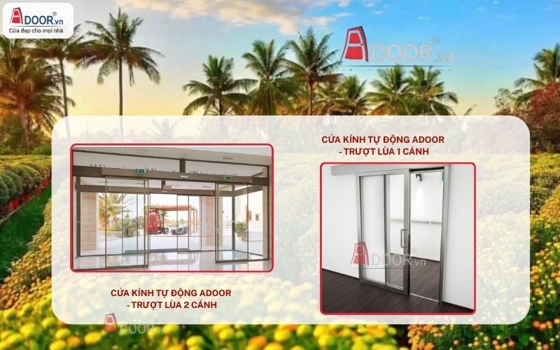 Cửa kính tự động Lai Vung trượt lùa 1 – 2 cánh Cửa kính tự động Lai Vung trượt lùa 1 – 2 cánh