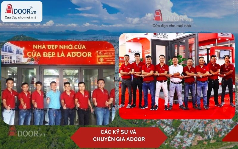 Chuyên gia chia sẻ kinh nghiệm cửa kính tự động Bà Rịa Chuyên gia chia sẻ kinh nghiệm cửa kính tự động Bà Rịa