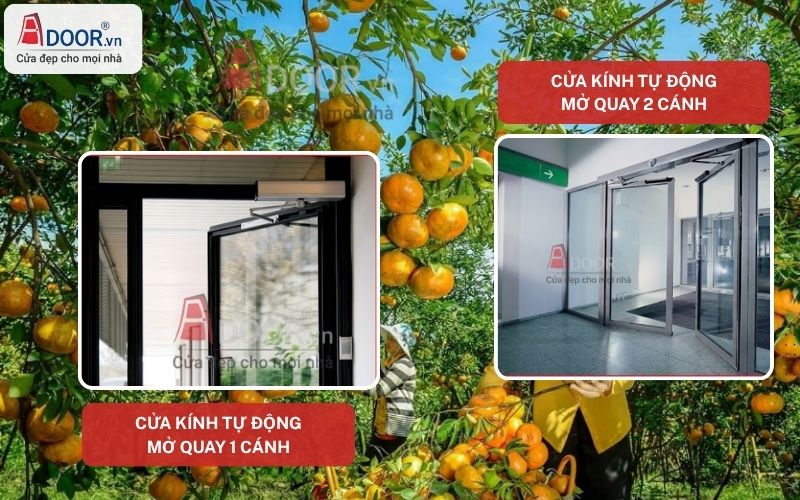 Cửa kính tự động Lai Vung mở quay 1 và 2 cánh Cửa kính tự động Lai Vung mở quay 1 và 2 cánh